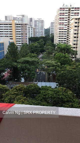 Blk 45 Telok Blangah Drive (Bukit Merah), HDB 2 Rooms #179655742
